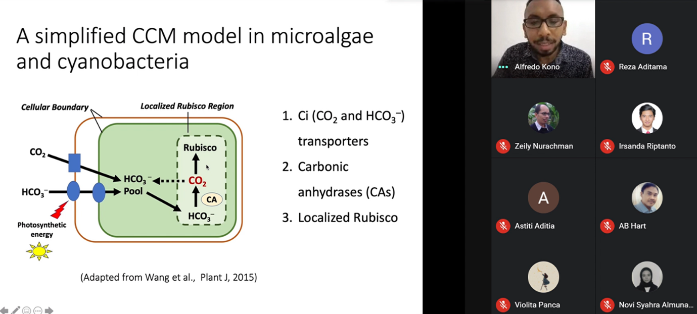 mengenal-ccm-mekanisme-mikroalga-dalam-lingkungan-yang-mendesak