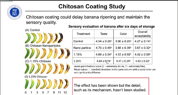 sith-itb-lecturer-reveals-benefits-of-chitosan-as-banana-coating-for-export-and-industry