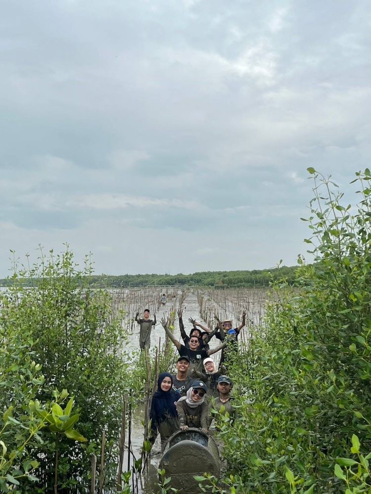 mahasiswa-teknik-perminyakan-itb-menanam-300-batang-mangrove-di-pesisir-pantai-cirebon