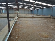 itb-conducts-community-service-by-making-aquaponic-system-in-cinangsi-village